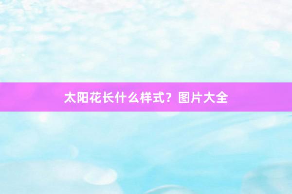 太阳花长什么样式？图片大全